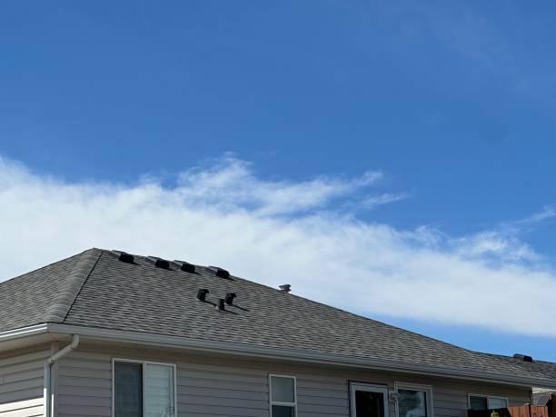 Best Metal Roofing Installation  in Arlington, TX